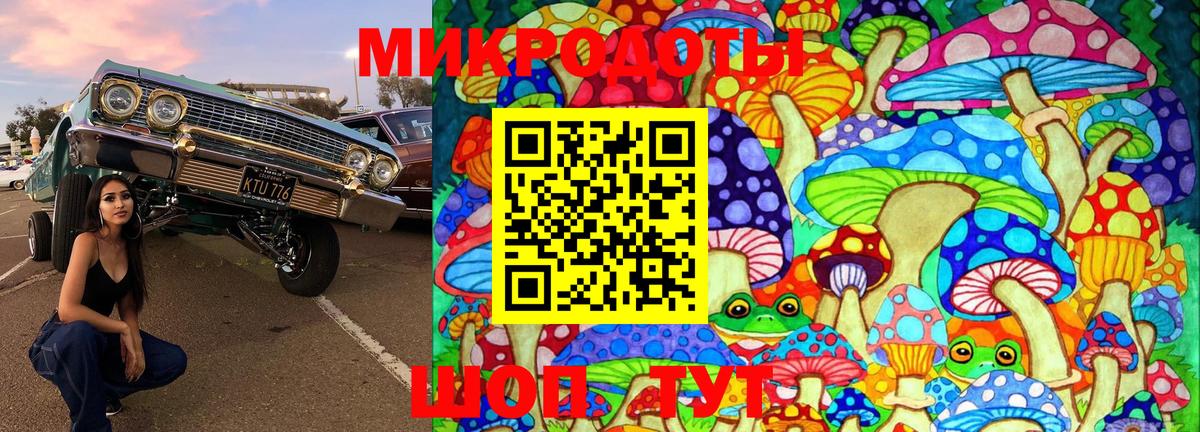 Черняховск  Галлюциногенные грибы Psilocybe  Псилоцибиновые грибы Psilocybe  Вход с VPN 