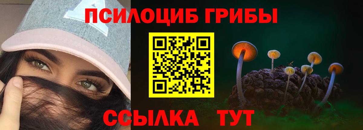 Галлюциногенные грибы Psilocybine cubensis Черняховск