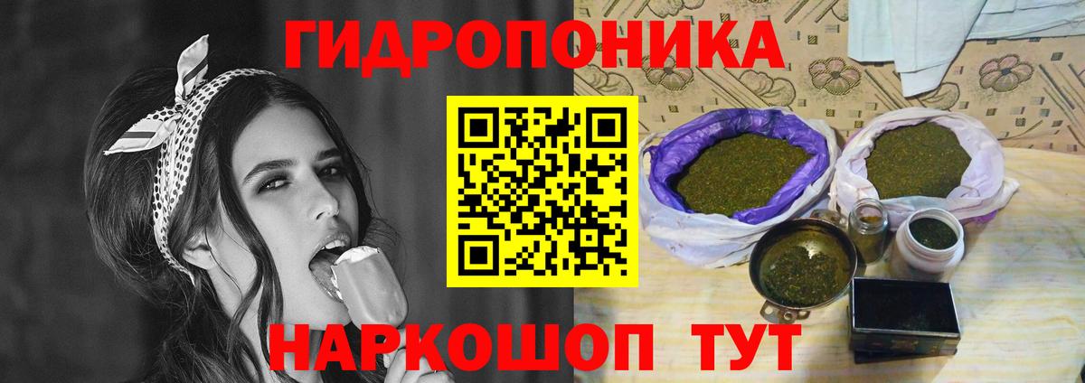 Бошки Шишки план Черняховск